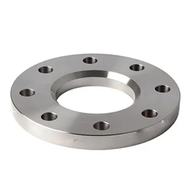 SUS 317L Stainless Hlau Flange
